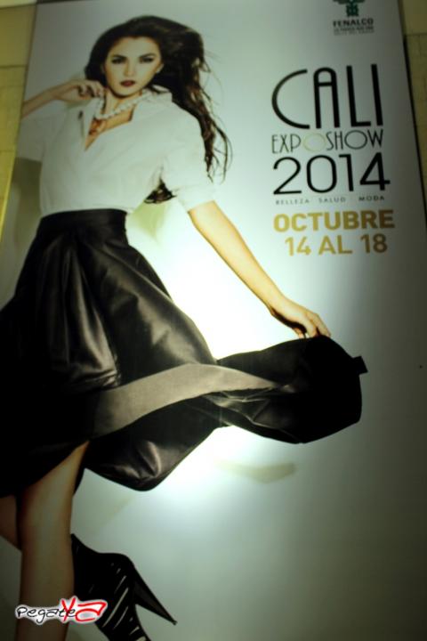Foto 222 de Cali Exposhow 2014 BY K-kahuate Shots en Cali Exposhow 2014 BY K-kahuate Shots, Cali