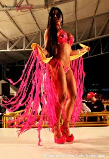 Foto 40 de Chicas Car Audio 2012 - Cenfer Bucaramanga en Chicas Car Audio 2012, Bucaramanga