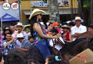 Foto 331 de Cabalgata Feria de Bucaramanga 2012 en Cabalgata Feria de Bucaramanga 2012, Bucaramanga