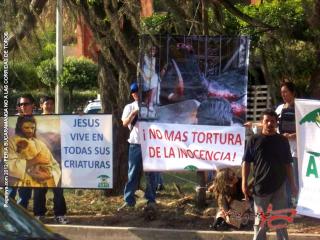 Foto 26 de Feria de Bucaramanga No a las Corridas en Feria de Bucaramanga No a las Corridas, Bucaramanga