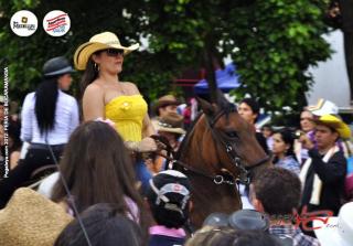 Foto 332 de Cabalgata Feria de Bucaramanga 2012 en Cabalgata Feria de Bucaramanga 2012, Bucaramanga