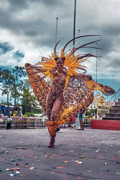 Foto 8 de Trinidad Y Tobado Marzo 2017 en Fiestas Colombia, Medellín