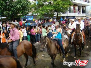 Foto 14 de Cabalgata 2009 - Feria Bucaramanga en Cabalgata 2009, Bucaramanga