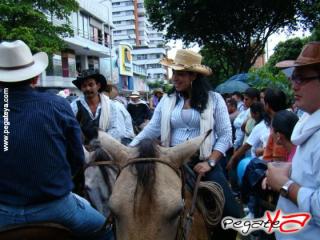 Foto 31 de Cabalgata 2009 - Feria Bucaramanga en Cabalgata 2009, Bucaramanga