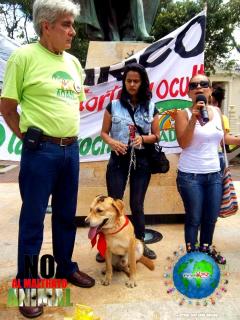 Foto 24 de No al Maltrato Animal en No al Maltrato Animal, Bucaramanga