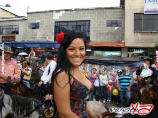 Foto 131 de Cabalgata 2009 - Feria Bucaramanga en Cabalgata 2009, Bucaramanga