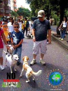 Foto 52 de No al Maltrato Animal en No al Maltrato Animal, Bucaramanga