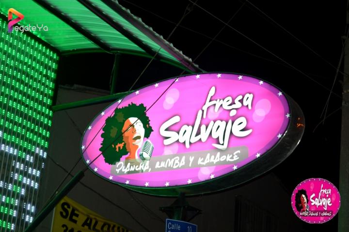 Foto 23 de Fresa Salvaje - 4to FDS Mayo 2015 en Fresa Salvaje, Cali