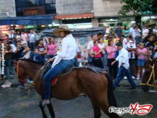 Foto 95 de Cabalgata 2009 - Feria Bucaramanga en Cabalgata 2009, Bucaramanga