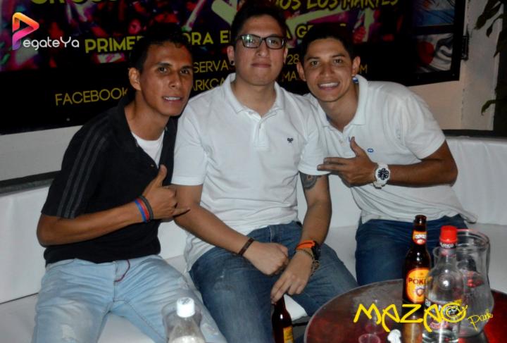 Foto 19 de Mazao Park - Amor y Amistad 2015 en Mazao Park, Cali