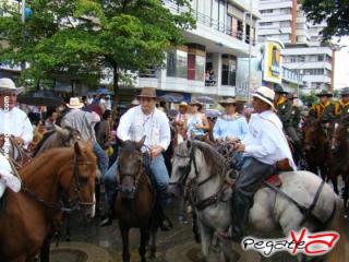 Foto 19 de Cabalgata 2009 - Feria Bucaramanga en Cabalgata 2009, Bucaramanga