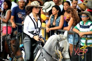 Foto 190 de Cabalgata Feria de Cali en Cabalgata Feria de Cali, Cali