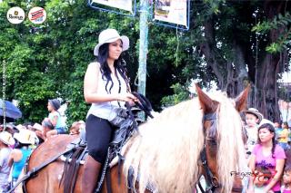 Foto 51 de Cabalgata Feria de Bucaramanga 2012 en Cabalgata Feria de Bucaramanga 2012, Bucaramanga