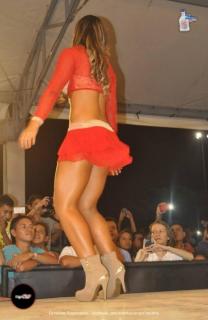 Foto 161 de Chicas Car Audio 2014 en Chicas Car Audio 2014, Cali