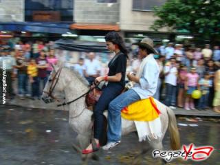 Foto 36 de Cabalgata 2009 - Feria Bucaramanga en Cabalgata 2009, Bucaramanga