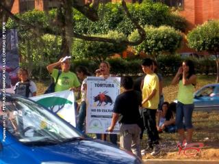 Foto 5 de Feria de Bucaramanga No a las Corridas en Feria de Bucaramanga No a las Corridas, Bucaramanga