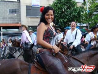 Foto 129 de Cabalgata 2009 - Feria Bucaramanga en Cabalgata 2009, Bucaramanga