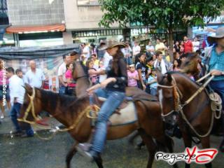 Foto 96 de Cabalgata 2009 - Feria Bucaramanga en Cabalgata 2009, Bucaramanga