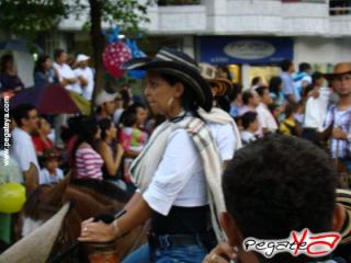 Foto 74 de Cabalgata 2009 - Feria Bucaramanga en Cabalgata 2009, Bucaramanga