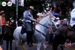 Foto 55 de Cabalgata Feria de Bucaramanga 2012 en Cabalgata Feria de Bucaramanga 2012, Bucaramanga