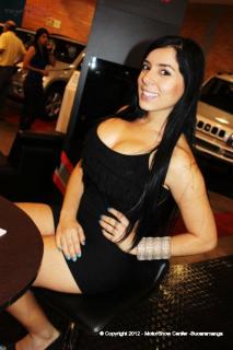 Foto 6 de Chicas Car Audio Cenfer 2012 en Chicas Car Audio Cenfer 2012, Bucaramanga