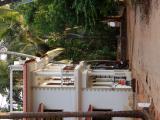 Foto 25 de Marchal Sylvain · julio de 2012 en Marchal Sylvain, Bucaramanga