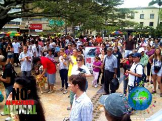 Foto 31 de No al Maltrato Animal en No al Maltrato Animal, Bucaramanga