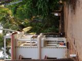 Foto 26 de Marchal Sylvain · julio de 2012 en Marchal Sylvain, Bucaramanga