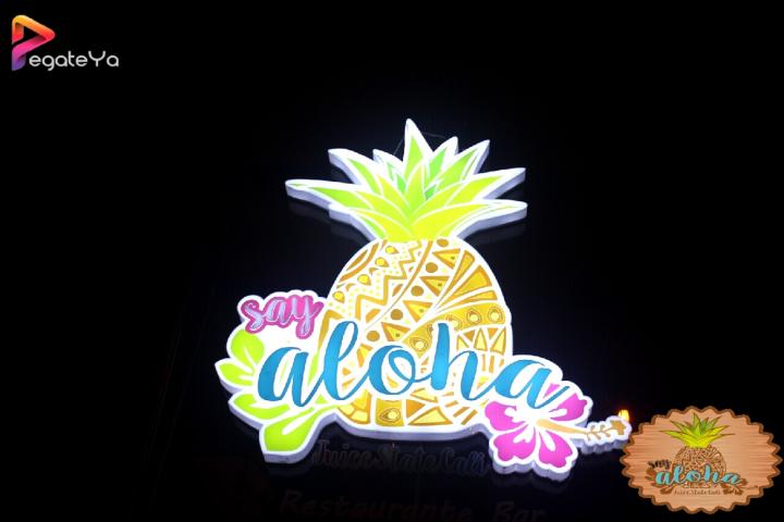 Foto 9 de Aloha Say State - 1er FDS Agosto 2016 en Aloha Say State