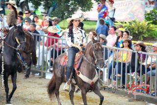Foto 194 de Cabalgata Feria de Cali en Cabalgata Feria de Cali, Cali