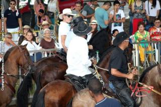 Foto 195 de Cabalgata Feria de Cali en Cabalgata Feria de Cali, Cali