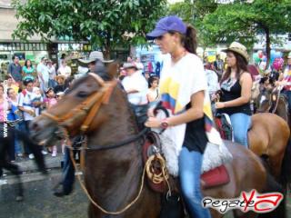 Foto 97 de Cabalgata 2009 - Feria Bucaramanga en Cabalgata 2009, Bucaramanga