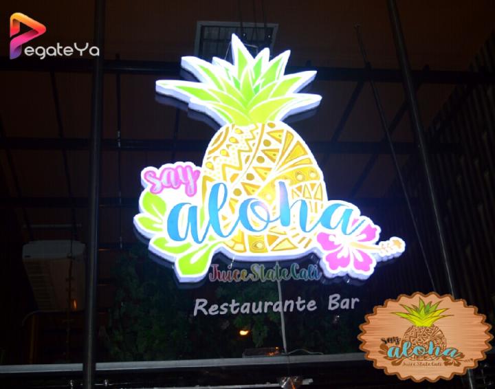 Foto 11 de Aloha Say State - 1er FDS Agosto 2016 en Aloha Say State