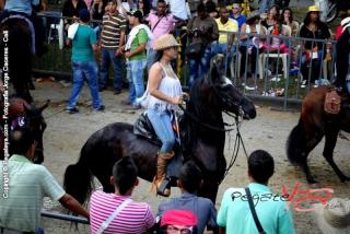Foto 113 de Cabalgata Feria de Cali en Cabalgata Feria de Cali, Cali