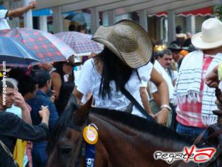 Foto 32 de Cabalgata 2009 - Feria Bucaramanga en Cabalgata 2009, Bucaramanga