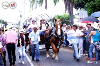 Foto 58 de Cabalgata Feria de Bucaramanga 2012 en Cabalgata Feria de Bucaramanga 2012, Bucaramanga