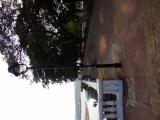 Foto 33 de Marchal Sylvain · julio de 2012 en Marchal Sylvain, Bucaramanga