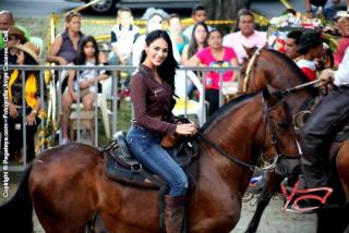 Foto 30 de Cabalgata Feria de Cali en Cabalgata Feria de Cali, Cali