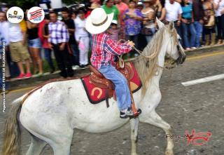 Foto 372 de Cabalgata Feria de Bucaramanga 2012 en Cabalgata Feria de Bucaramanga 2012, Bucaramanga