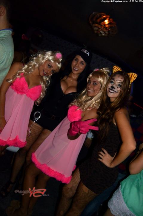 Foto 14 de Discoteca LA 33 Halloween en Discoteca La 33 Bucaramanga, Bucaramanga