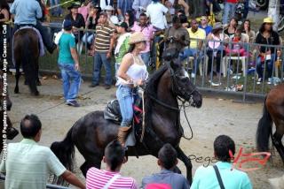 Foto 115 de Cabalgata Feria de Cali en Cabalgata Feria de Cali, Cali