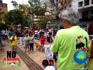 Foto 21 de No al Maltrato Animal en No al Maltrato Animal, Bucaramanga