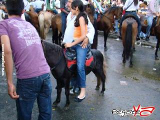 Foto 86 de Cabalgata 2009 - Feria Bucaramanga en Cabalgata 2009, Bucaramanga