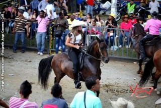 Foto 116 de Cabalgata Feria de Cali en Cabalgata Feria de Cali, Cali