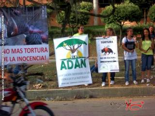 Foto 14 de Feria de Bucaramanga No a las Corridas en Feria de Bucaramanga No a las Corridas, Bucaramanga