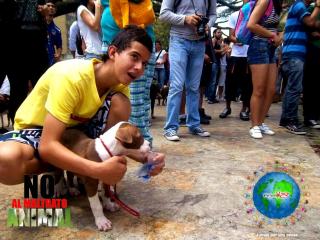 Foto 40 de No al Maltrato Animal en No al Maltrato Animal, Bucaramanga