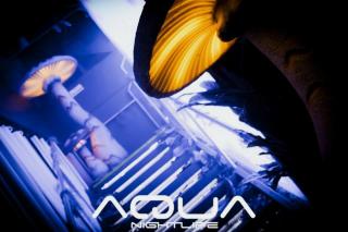 Foto 271 de Discoteca Aqua 26 y 27 de Octubre en Discoteca Aqua Medellin, Medellín