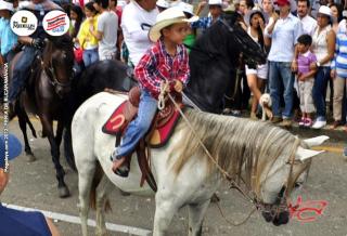 Foto 380 de Cabalgata Feria de Bucaramanga 2012 en Cabalgata Feria de Bucaramanga 2012, Bucaramanga