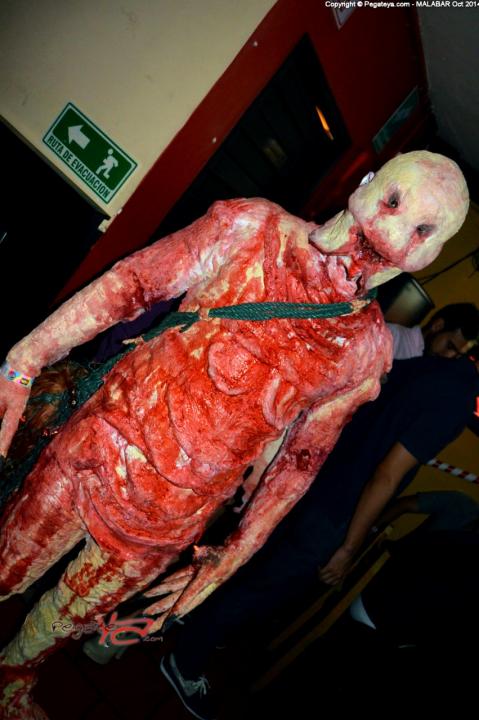 Foto 173 de Halloween Malabar octubre de 2014 en Discoteca Malabar Bucaramanga, Bucaramanga