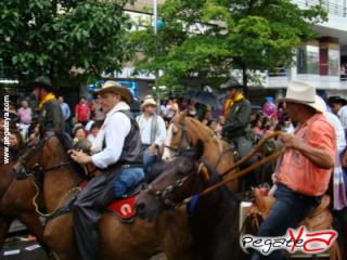 Foto 17 de Cabalgata 2009 - Feria Bucaramanga en Cabalgata 2009, Bucaramanga